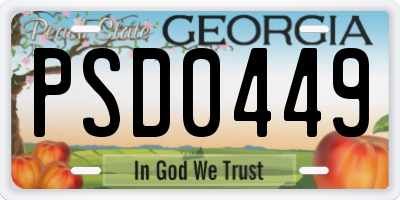 GA license plate PSD0449