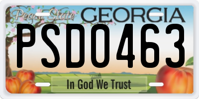 GA license plate PSD0463