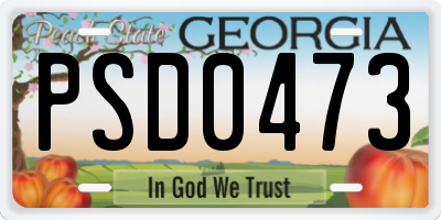 GA license plate PSD0473