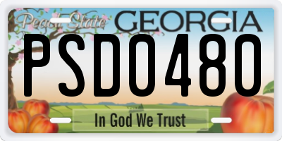 GA license plate PSD0480