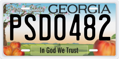 GA license plate PSD0482