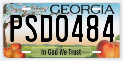 GA license plate PSD0484