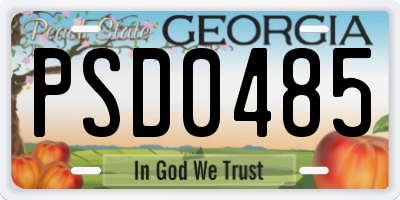 GA license plate PSD0485