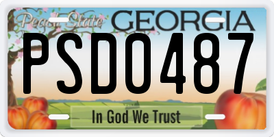 GA license plate PSD0487