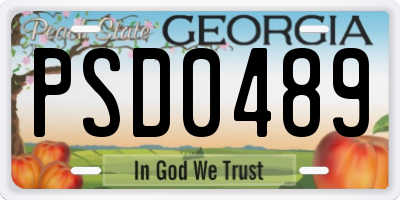 GA license plate PSD0489