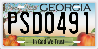 GA license plate PSD0491