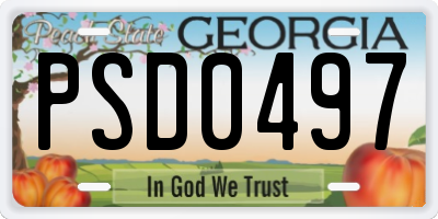 GA license plate PSD0497