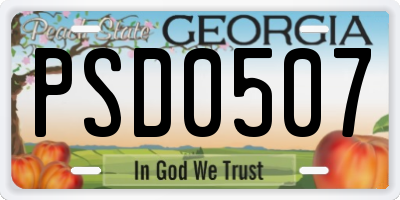 GA license plate PSD0507