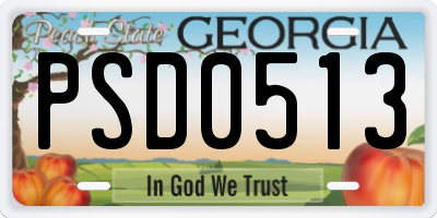 GA license plate PSD0513