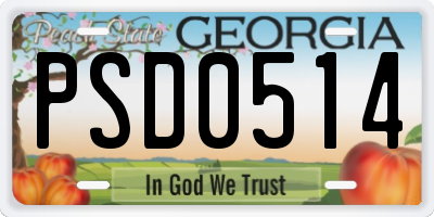 GA license plate PSD0514