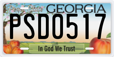 GA license plate PSD0517
