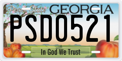 GA license plate PSD0521