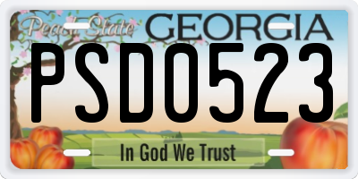 GA license plate PSD0523