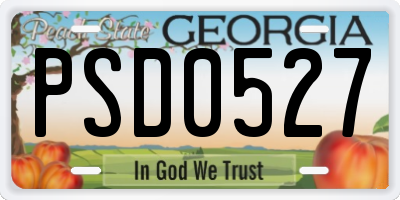 GA license plate PSD0527