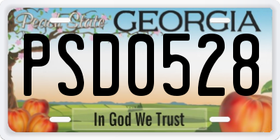 GA license plate PSD0528
