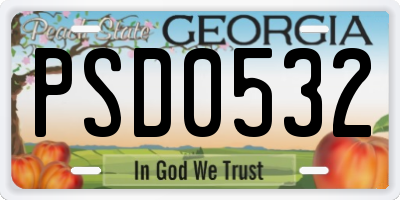 GA license plate PSD0532