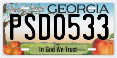 GA license plate PSD0533