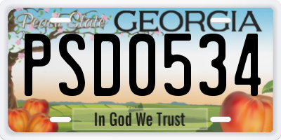 GA license plate PSD0534
