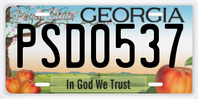 GA license plate PSD0537
