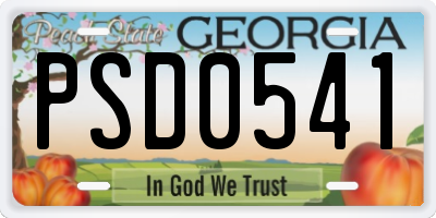 GA license plate PSD0541
