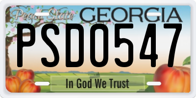 GA license plate PSD0547