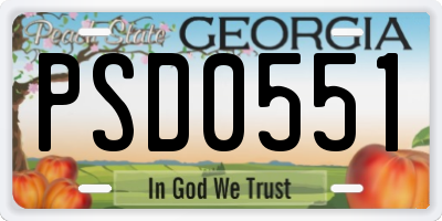 GA license plate PSD0551