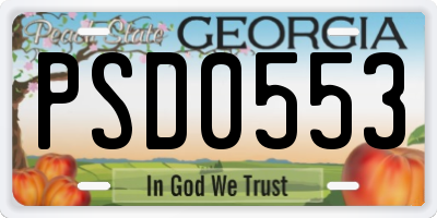 GA license plate PSD0553