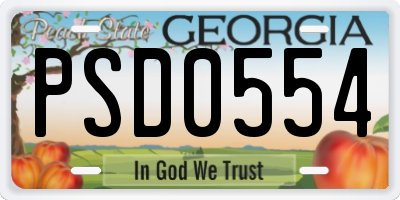 GA license plate PSD0554