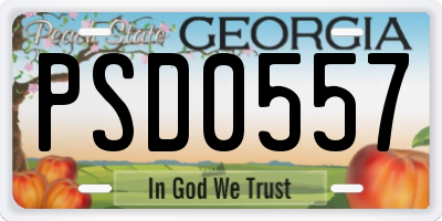 GA license plate PSD0557