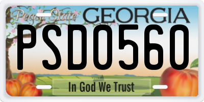 GA license plate PSD0560