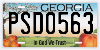 GA license plate PSD0563