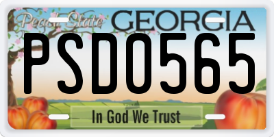 GA license plate PSD0565