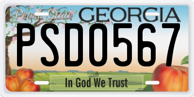 GA license plate PSD0567