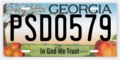 GA license plate PSD0579
