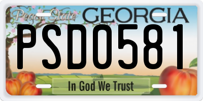 GA license plate PSD0581