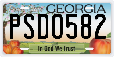 GA license plate PSD0582