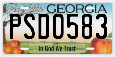 GA license plate PSD0583