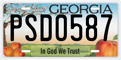 GA license plate PSD0587