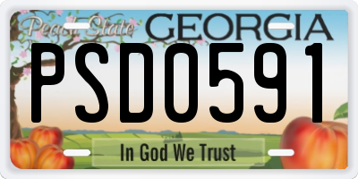 GA license plate PSD0591