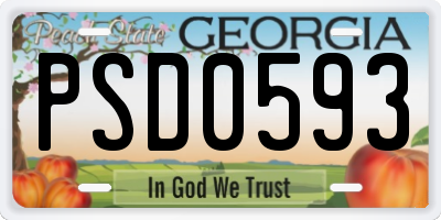GA license plate PSD0593