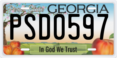 GA license plate PSD0597