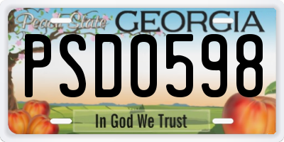 GA license plate PSD0598