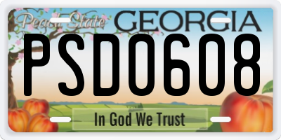 GA license plate PSD0608