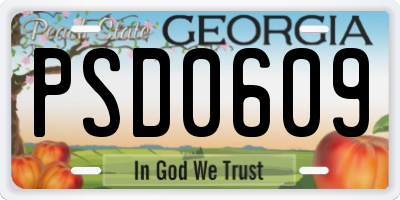 GA license plate PSD0609