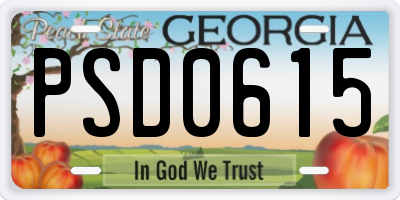 GA license plate PSD0615