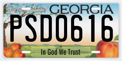 GA license plate PSD0616