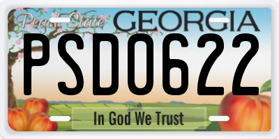 GA license plate PSD0622