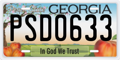GA license plate PSD0633