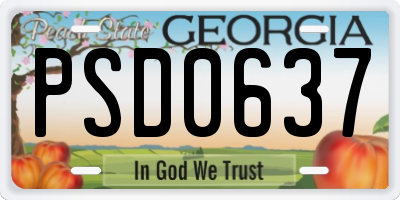 GA license plate PSD0637