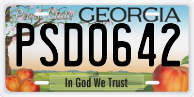 GA license plate PSD0642